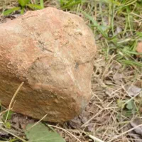 سنگ راف
