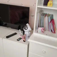 سرویس خواب کامل نوجوان