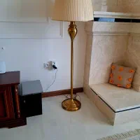 آباژور ایستاده کنارسالنی