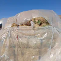 یونجه|لوازم جانبی حیوانات|بیرانوند, |دیوار