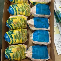 اکبر جوجه منجمد کارتنی