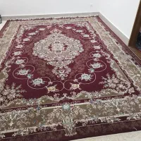 فروش لوازم خانگی|فرش|مشهد, كنويست|دیوار
