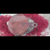تخته سرو رزینی