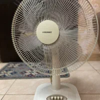 پنکه سانی