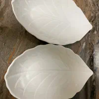 ۲ عدد دیس چینی