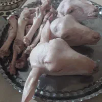 جیگر وکله پاچه|خوردنی و آشامیدنی|شیروان (خراسان), |دیوار