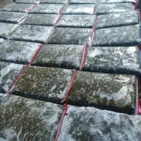 سبزی معطر وخوش طعم خوزستانی فقط100تومن|خوردنی و آشامیدنی|شاهینشهر, دهخدا|دیوار