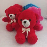 خرس نشسته سوزنی