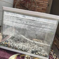 وقت بخیر آکواریوم شرکتی خمیده بدون جزعی ترین عیب