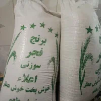 برنج فجر شمال