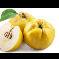 میوه ارگانیک..میوه  به  شهرستان  اراک