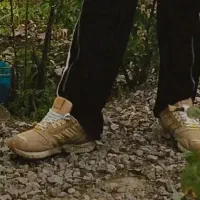 کتونیzxنسکافه سفارش دزدیده شده