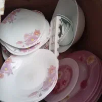 معاوضه با گیاه آپارتمانی