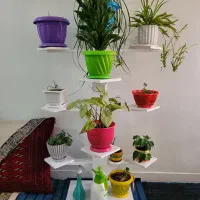 دکوری|صنایع دستی و سایر لوازم تزئینی|تربت‌حیدریه, آسایش|دیوار