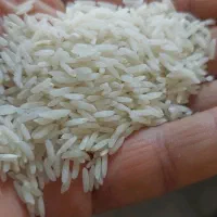 برنج مرغوب و اصل گیلان