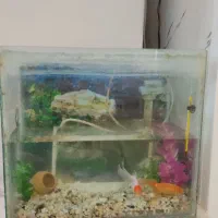 آکواریوم زیبا و قشنگ در حد نو