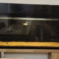 آکواریوم بزرگ