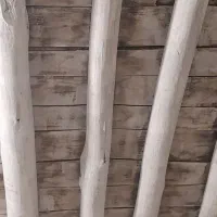 حدود ۴۰۰،۵۰۰کیلو تیر چوب خشک و خرده چوب