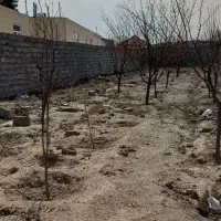 زمین-500-متری-واقع-در-عسکریه