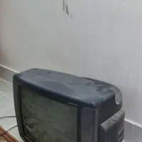 تلوزیون|تلویزیون و پروژکتور|آران و بیدگل, |دیوار