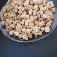 توت شیرین|خوردنی و آشامیدنی|اصفهان, باغ زیار|دیوار