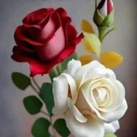 وام ازدواج