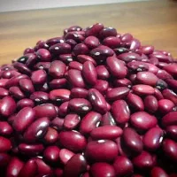 لوبیا قرمز درجه ۱