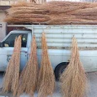 جارو شهرداری