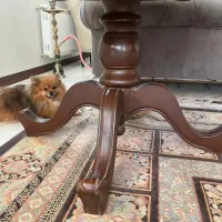 میز نهارخوری. میز پذیرایی|میز و صندلی غذاخوری|تهران, اسکندری|دیوار