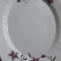 فروش ارکوپال