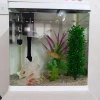 اکواریوم با لوازم و ماهی و کمد