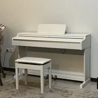 یاماها ydp165 زیر قیمت