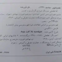 کتاب هنری نفیس آقا لطفعلی صورتگر شیرازی|کتاب و مجله ادبی|قرچک, پویینک|دیوار