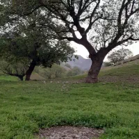 فروش-زمین