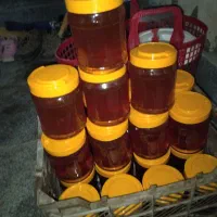 عسل طبیعی کوهستان|خوردنی و آشامیدنی|مراغه, |دیوار