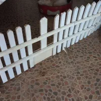 سگ شیتزوتریرفروشی|سگ|لاهیجان, لاشیدان|دیوار