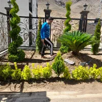 خدماتباغبانیوسمپاشیصفرتاصدبومهن پردیس مهراباد|خدمات باغبانی و درختکاری|رودهن, |دیوار