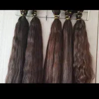 مو های خود را به خریدار اصلی بفروشید