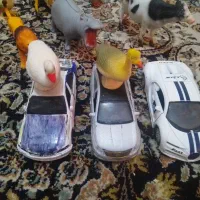 اسباب‌بازی