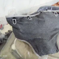 روروک درحدنو|کالسکه و لوازم جانبی|رباط‌کریم, رباط‌کریم|دیوار