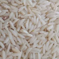 فروش برنج هاشمی