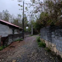 زمین مسکونی تو لفور چسبیده به جنگل هیرکانی|فروش زمین و ملک کلنگی|آلاشت, |دیوار