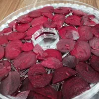 انواع میوه محصولات خانگی