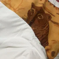 پتو پلنگی|رختخواب، بالش، پتو|قم, آزادگان|دیوار