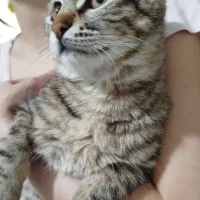 میا دختر ناز