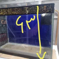 آکواریوم|ماهی|مشهد, توس (بلوار توس)|دیوار