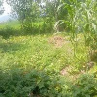 خانه ویلایی