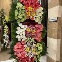 فروش تخصصی تاج گل نمایشگاهی افتتاحیه بهترین قیمت|گل و گیاه طبیعی|تهران, بازار|دیوار