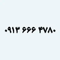 ۴۷۸۰ ۶۶۶ ۰۹۱۳ سیمکارت رند