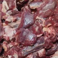 همبرگر دستی|عمدهفروشی|اصفهان, ملکشهر|دیوار